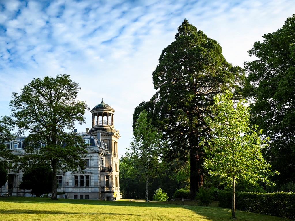 Schloss Kaarz_Mammutbaum_Stefan von Stengel